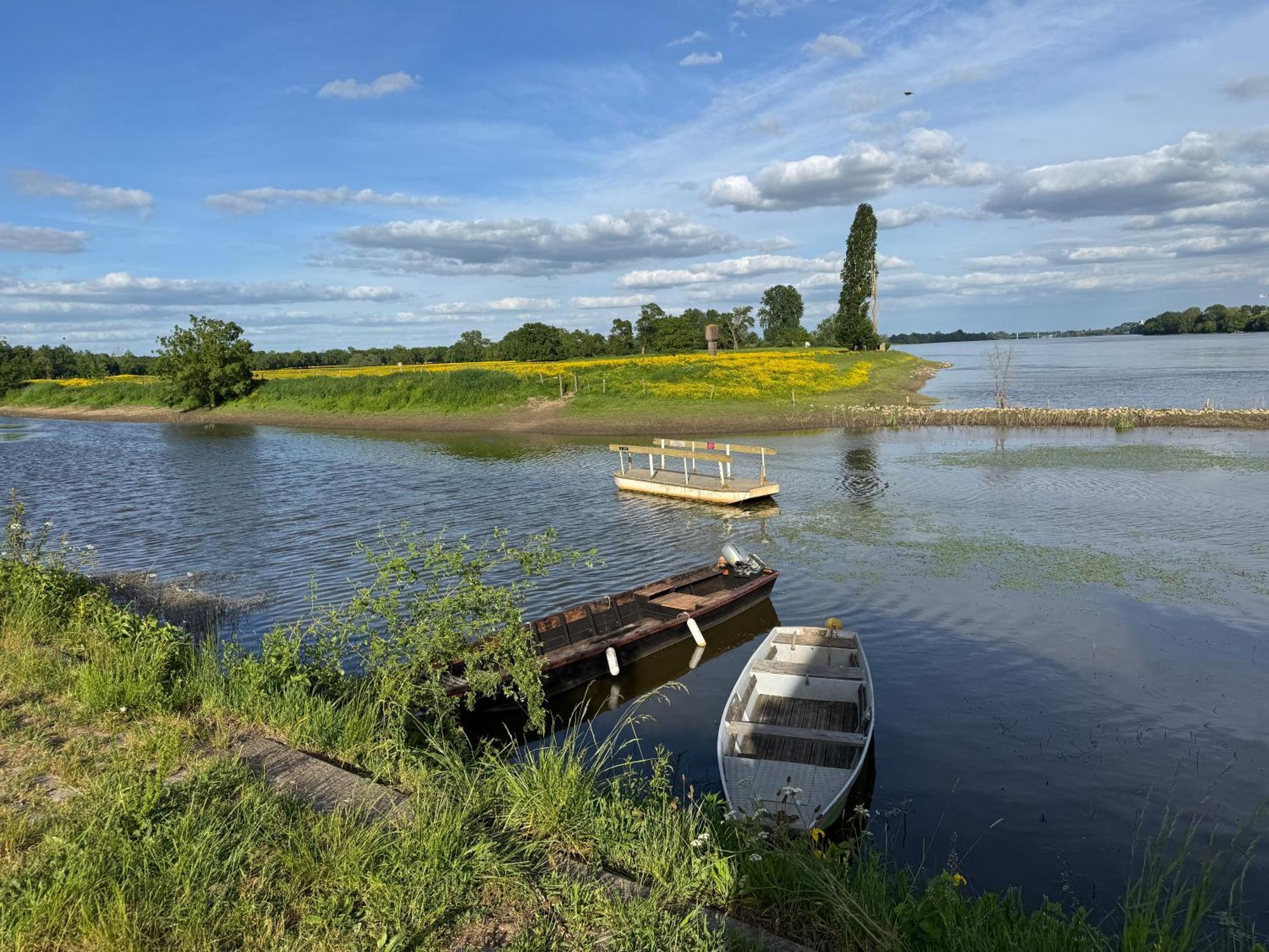 Gite Loirizon Vue Loire 4 Personnes 安格朗德 外观 照片